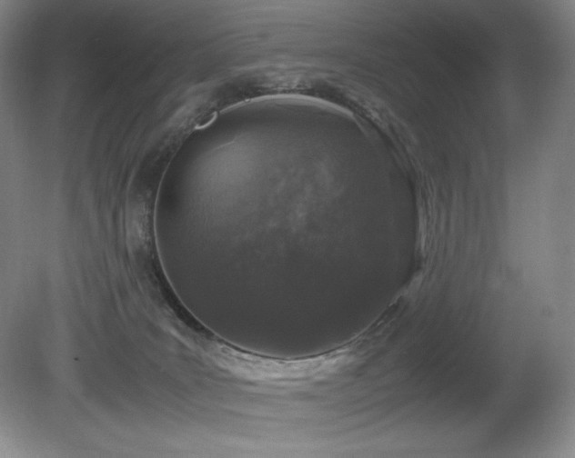 X0000081610035200701151417