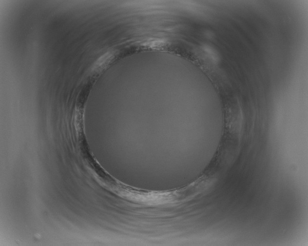 X0000081610036200701151417