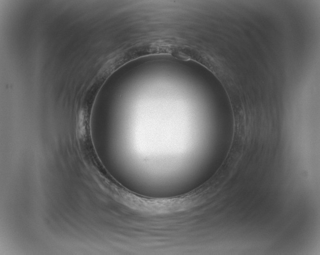 X0000081610038200701151417