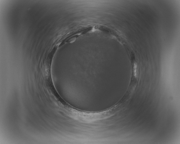 X0000081610039200701151417