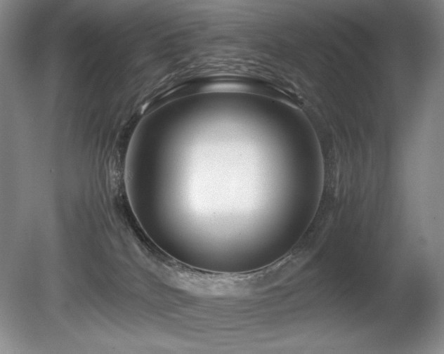 X0000081610040200701151417