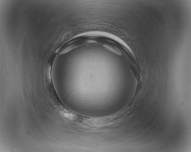 X0000081610041200701151417