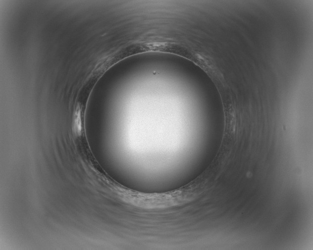 X0000081610042200701151417