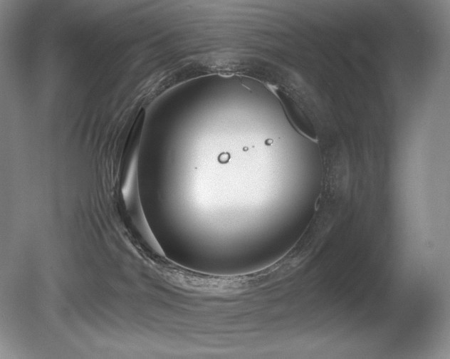 X0000081610044200701151417