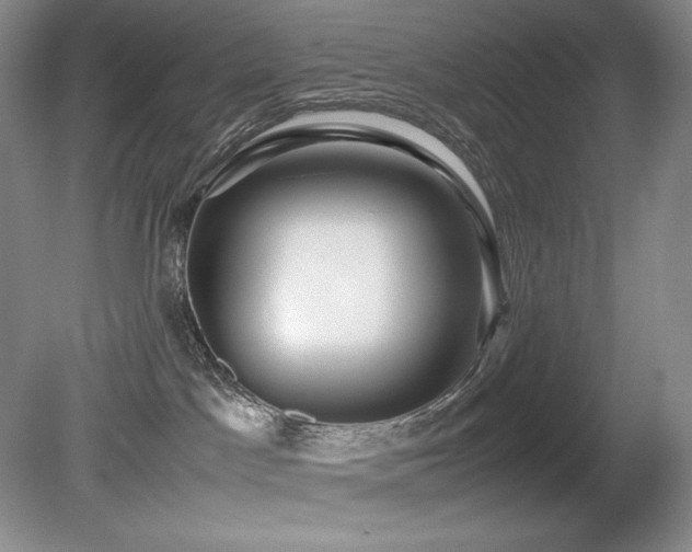 X0000081610045200701151417