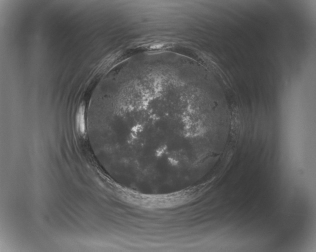 X0000081610046200701151417