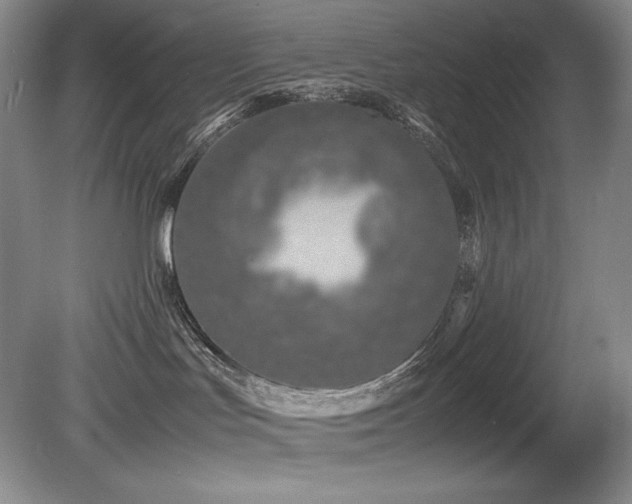 X0000081610047200701151417