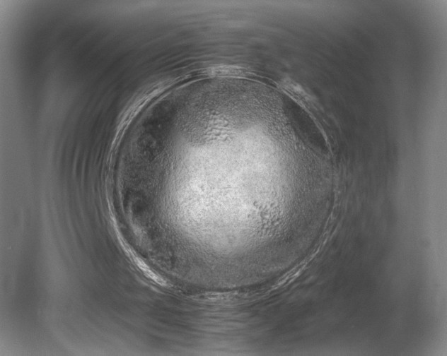 X0000081610049200701151416