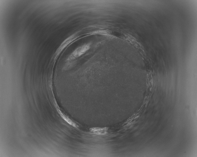 X0000081610051200701151416