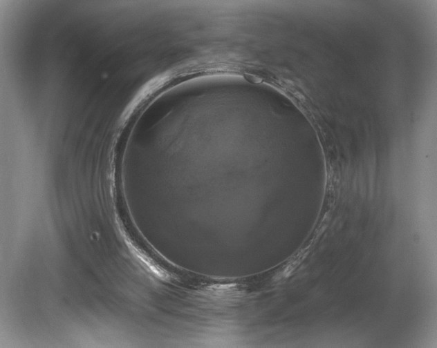 X0000081610054200701151416