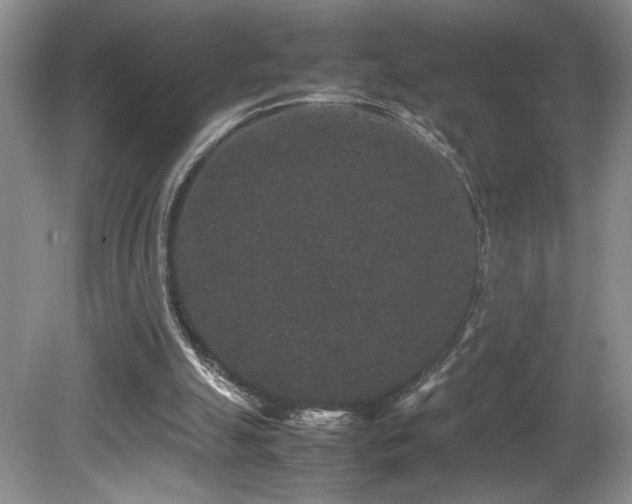 X0000081610055200701151416