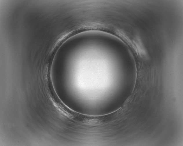 X0000081610058200701151416