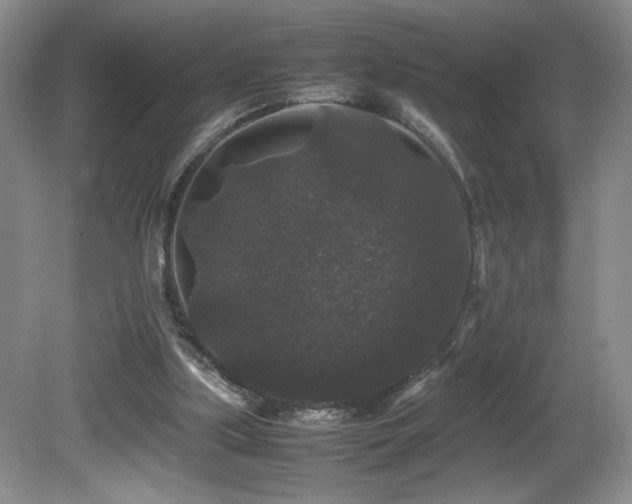 X0000081610059200701151416