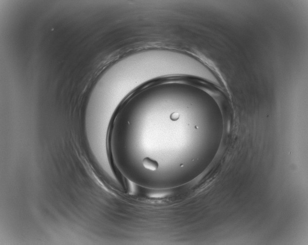 X0000081610061200701151416