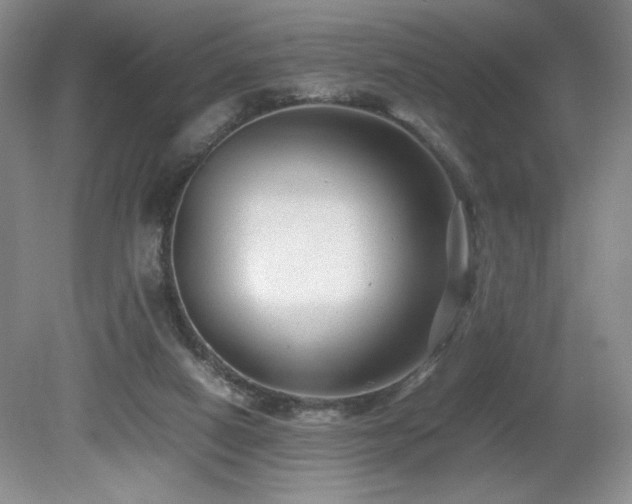 X0000081610066200701151416