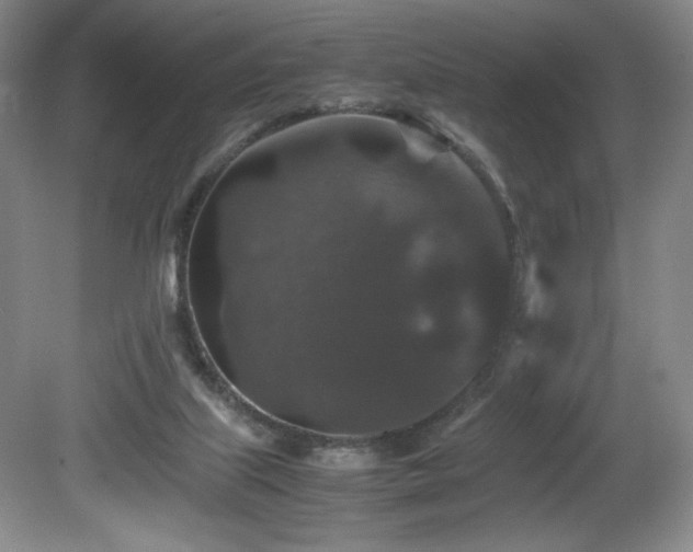 X0000081610067200701151416