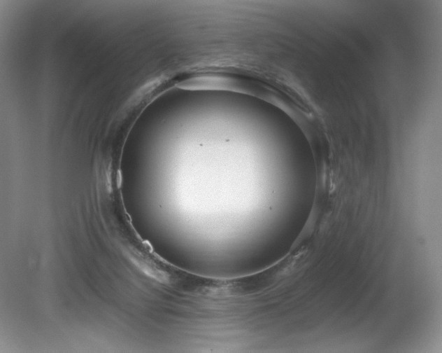 X0000081610068200701151416