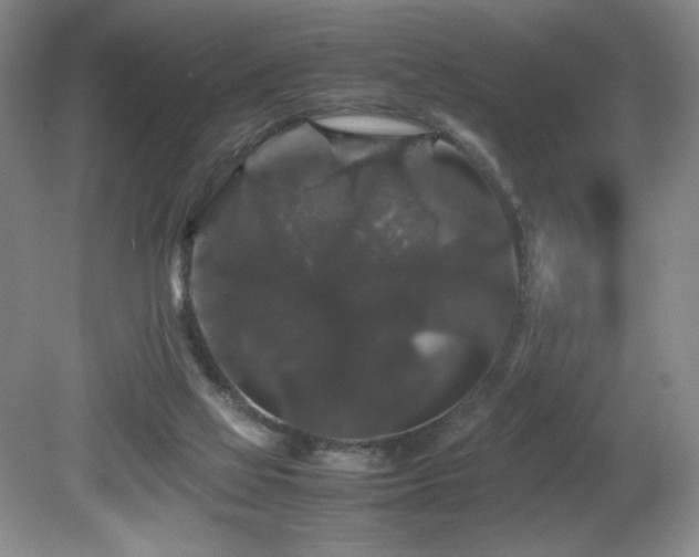 X0000081610069200701151416