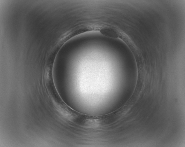 X0000081610071200701151416