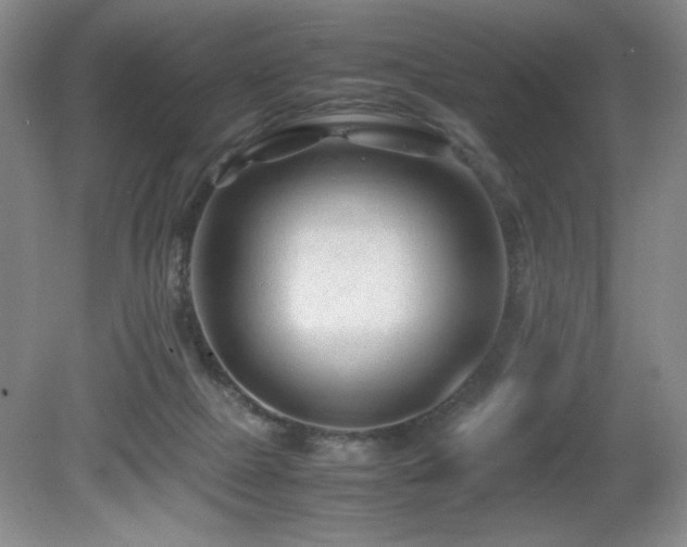 X0000081610073200701151416