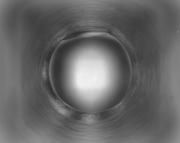 X0000081610074200701151416