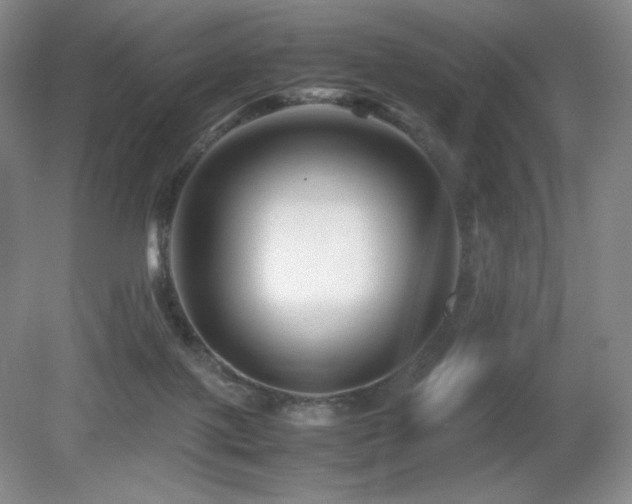 X0000081610075200701151416