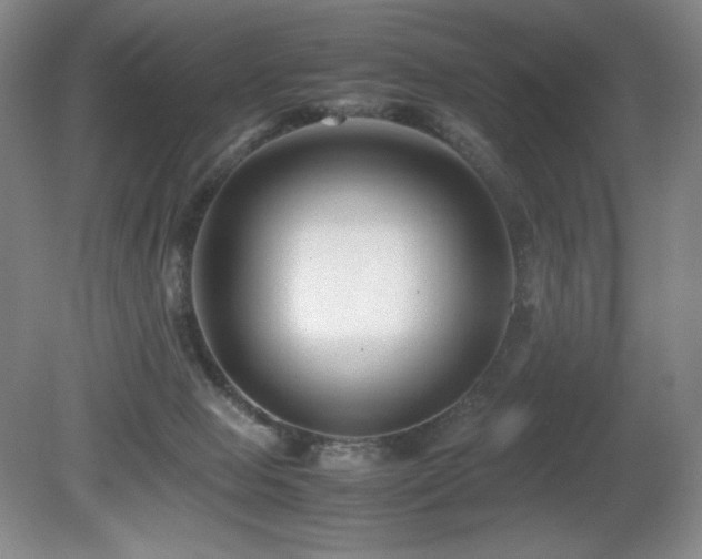 X0000081610077200701151416