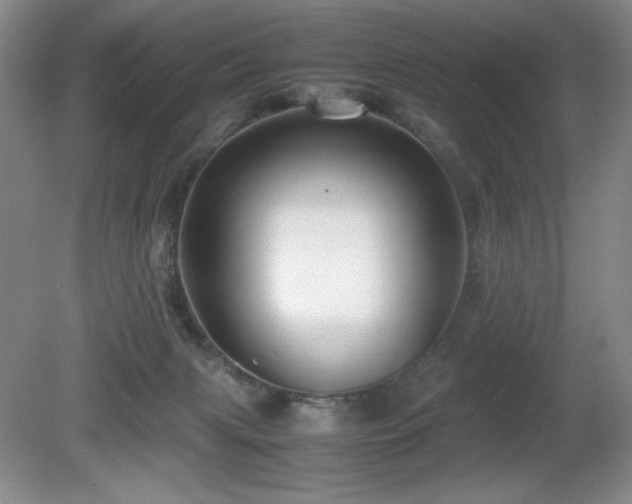 X0000081610079200701151416