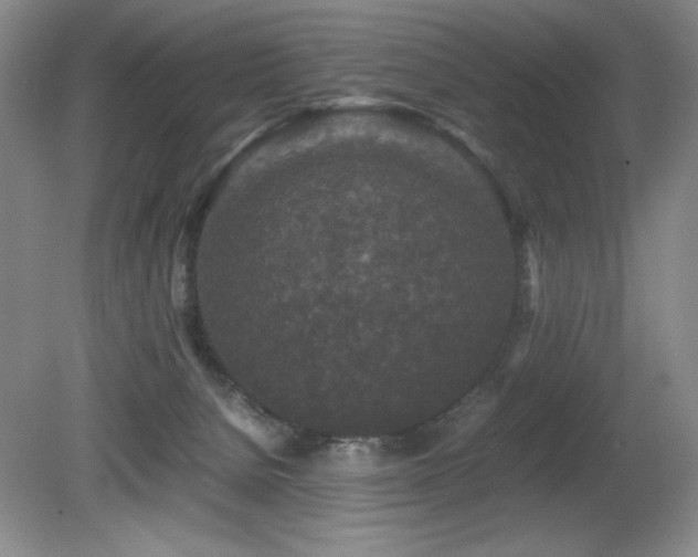 X0000081610080200701151416