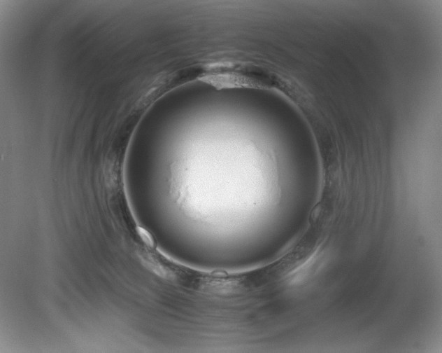 X0000081610081200701151416