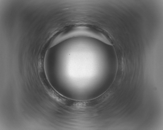 X0000081610084200701151416