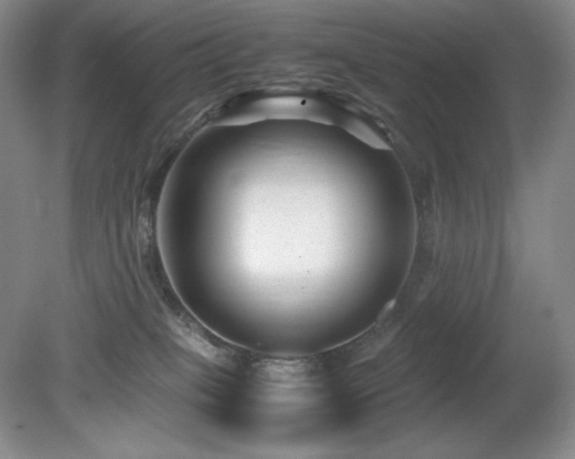 X0000081610085200701151416