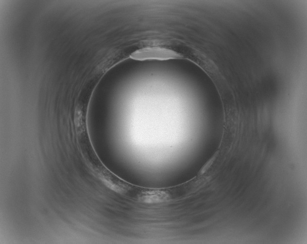 X0000081610087200701151416