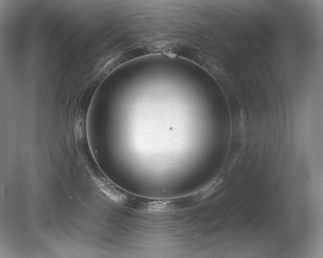 X0000081610090200701151416