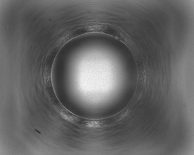 X0000081610091200701151416