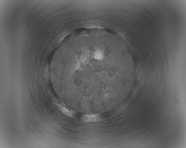 X0000081610093200701151416