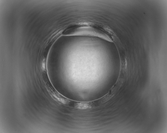 X0000081610095200701151416