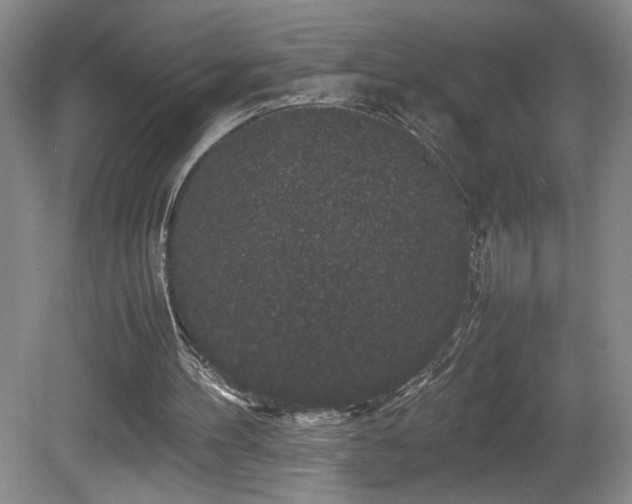 X0000081610100200701151416