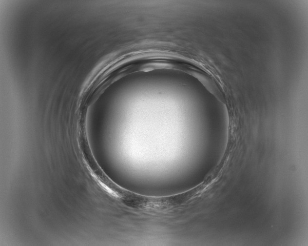 X0000081610101200701151416