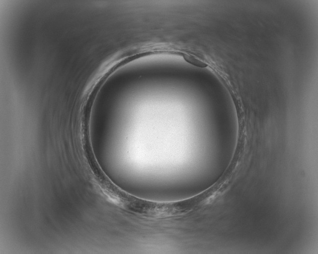 X0000081610103200701151416