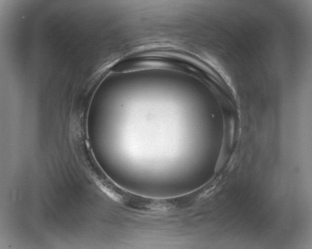 X0000081610105200701151416