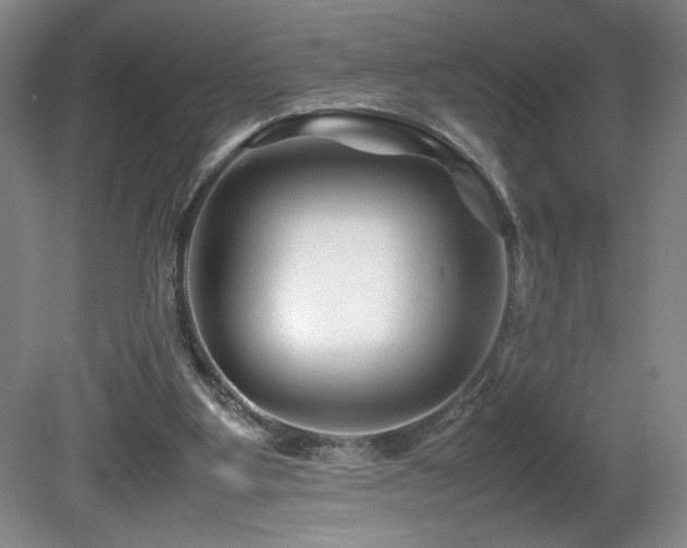 X0000081610107200701151416