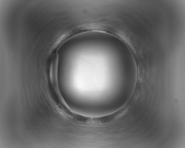 X0000081610109200701151415