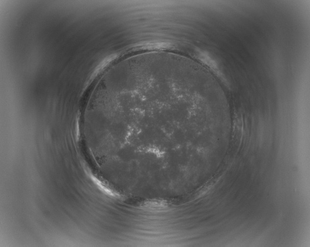 X0000081610110200701151415