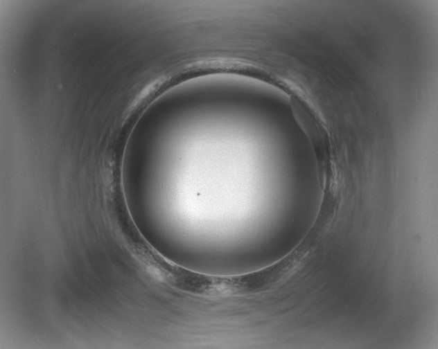 X0000081610111200701151415