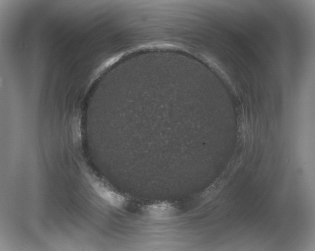 X0000081610112200701151415