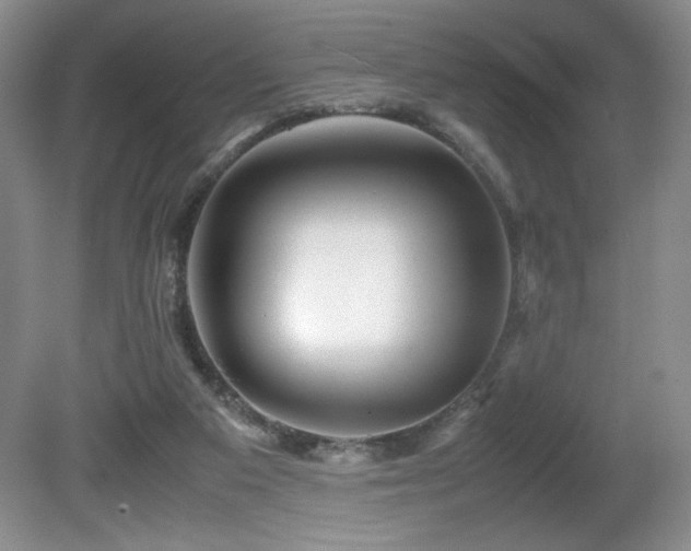 X0000081610113200701151415