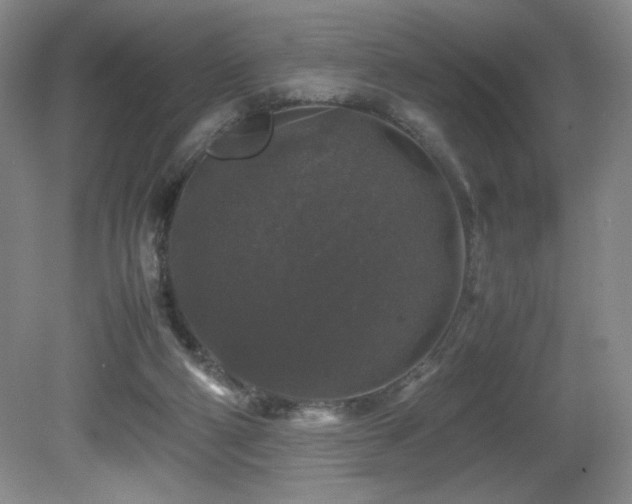 X0000081610114200701151415