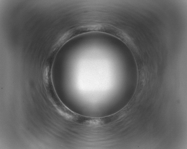 X0000081610118200701151415