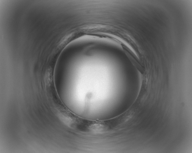 X0000081610119200701151415